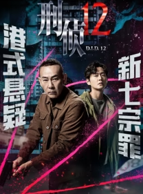 刑侦12 普通话